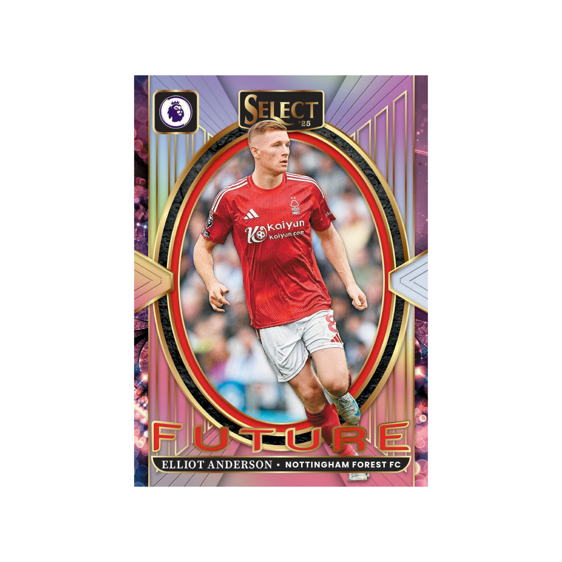 Panini Select Premier League 2024-25 Hobby Box